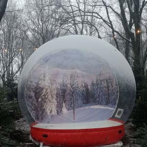 Inflatable Snow Globe